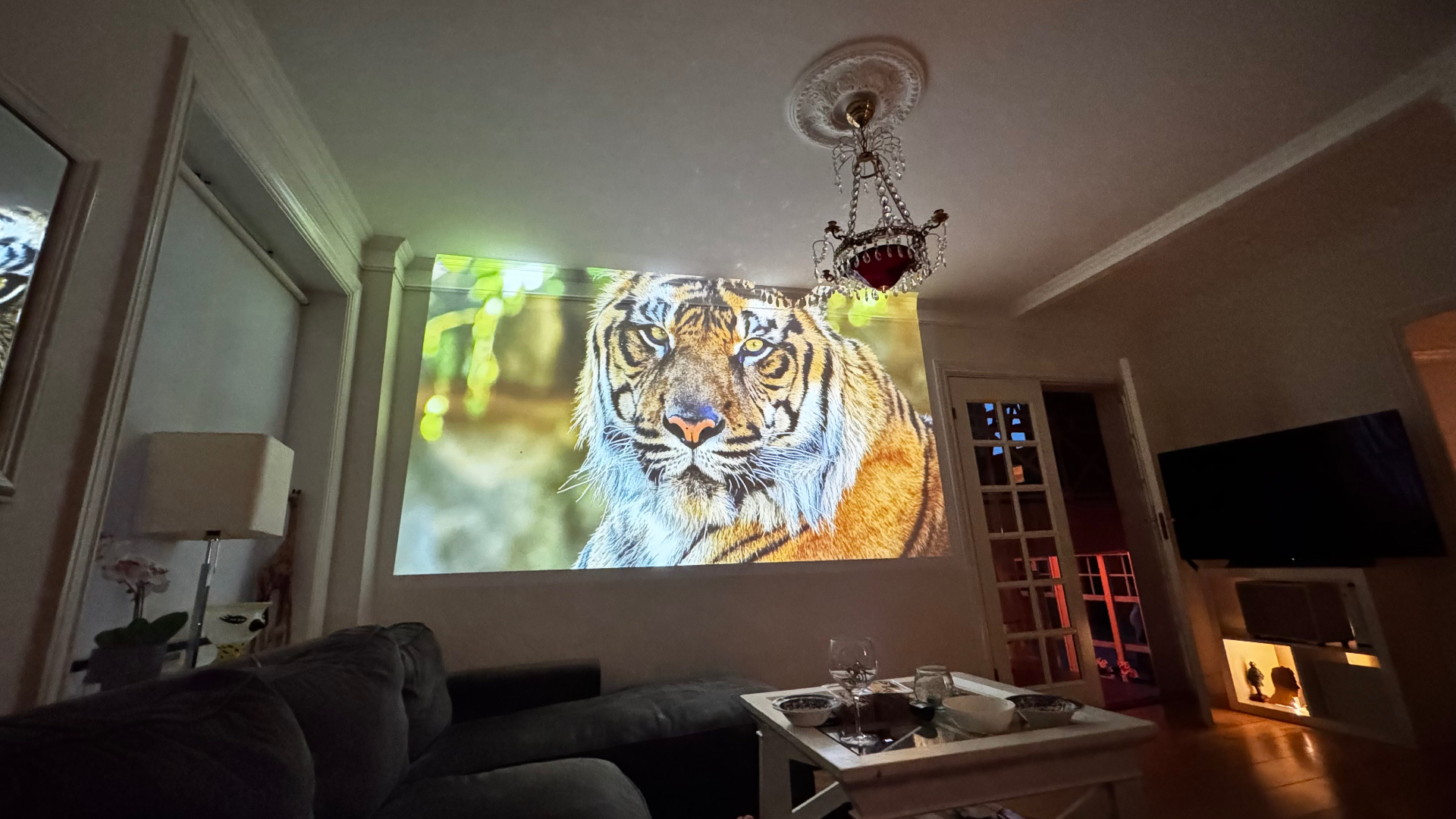 Vardagsrum där PICZO Nova Ultra S projicerar en tiger i naturstorlek på väggen